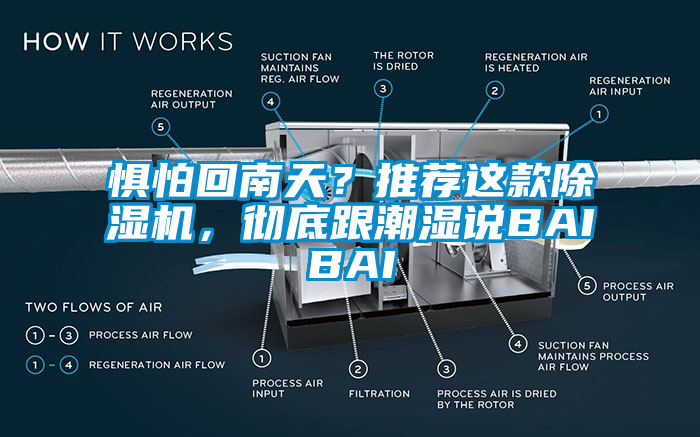 懼怕回南天？推薦這款除濕機，徹底跟潮濕說BAIBAI