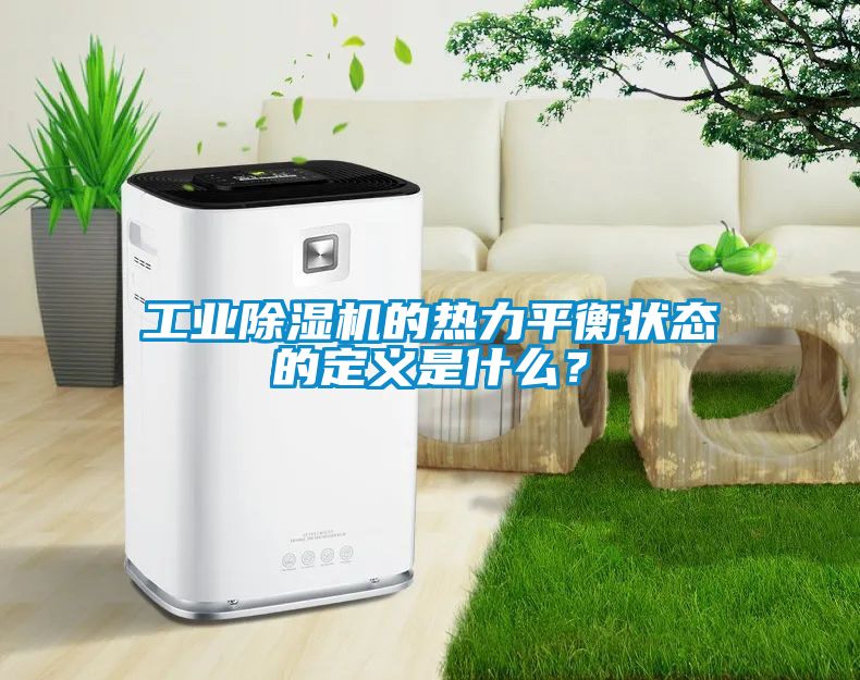 工業(yè)除濕機的熱力平衡狀態(tài)的定義是什么？