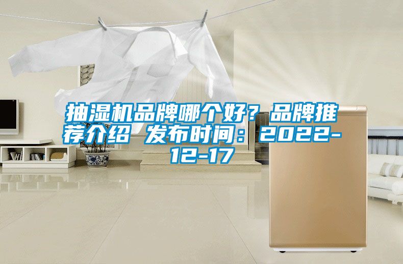 抽濕機(jī)品牌哪個好？品牌推薦介紹 發(fā)布時間：2022-12-17