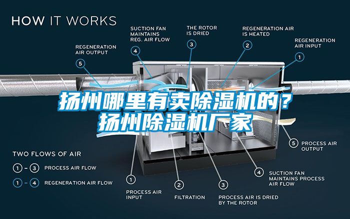 揚州哪里有賣除濕機的？揚州除濕機廠家