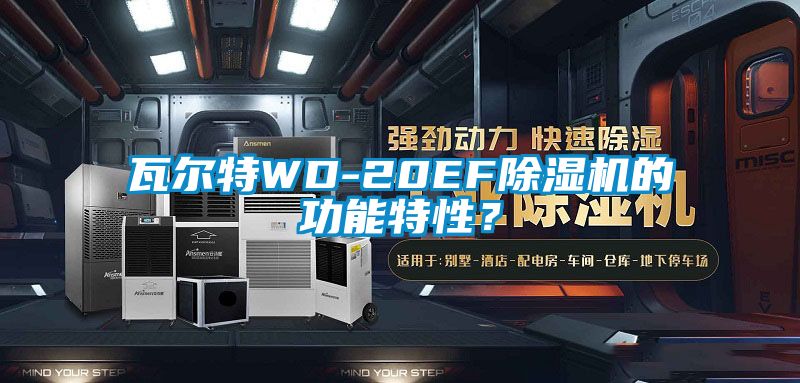 瓦爾特WD-20EF除濕機的功能特性？