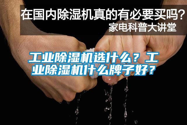 工業(yè)除濕機(jī)選什么？工業(yè)除濕機(jī)什么牌子好？