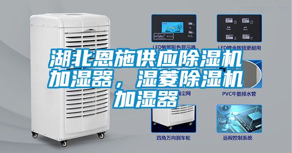 湖北恩施供應除濕機加濕器，濕菱除濕機加濕器