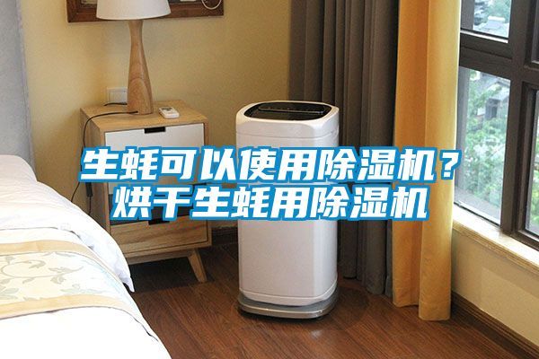 生蠔可以使用除濕機？烘干生蠔用除濕機