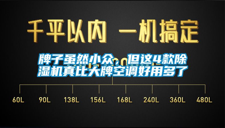 牌子雖然小眾，但這4款除濕機(jī)真比大牌空調(diào)好用多了