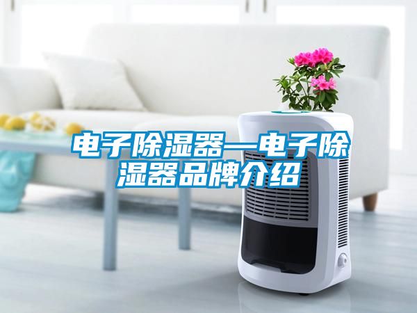 電子除濕器—電子除濕器品牌介紹