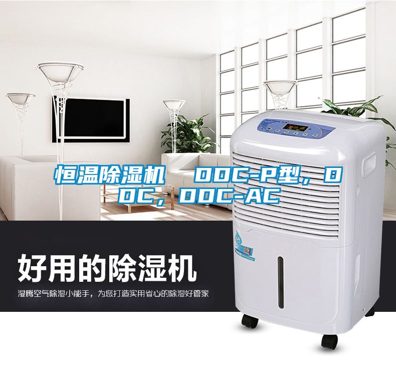 恒溫除濕機(jī)  DDC-P型，DDC，DDC-AC