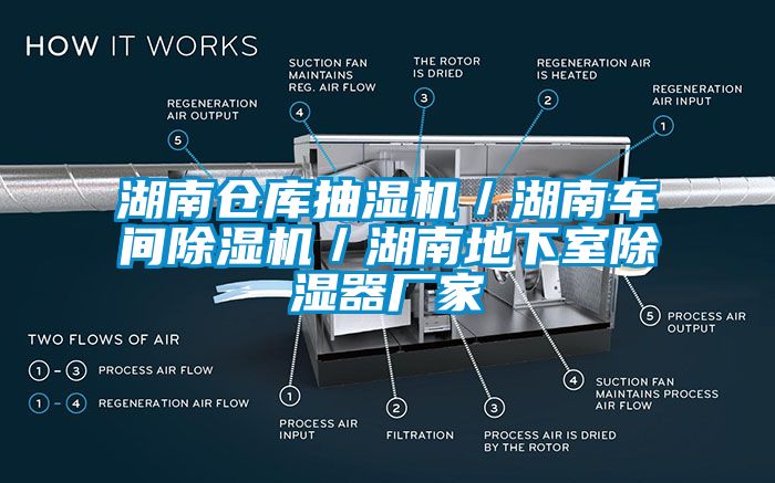 湖南倉庫抽濕機(jī)／湖南車間除濕機(jī)／湖南地下室除濕器廠家