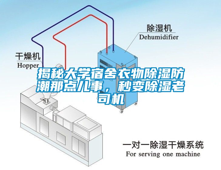 揭秘大學(xué)宿舍衣物除濕防潮那點(diǎn)兒事，秒變除濕老司機(jī)