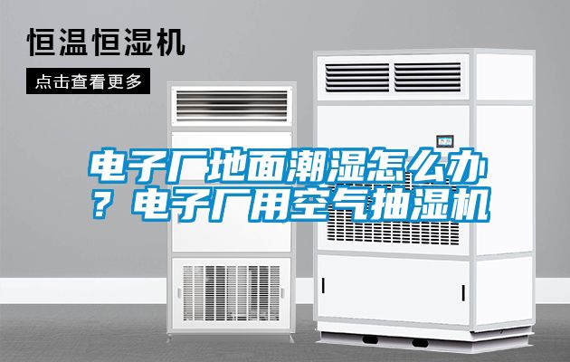 電子廠地面潮濕怎么辦？電子廠用空氣抽濕機(jī)