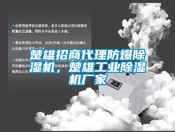 楚雄招商代理防爆除濕機，楚雄工業(yè)除濕機廠家