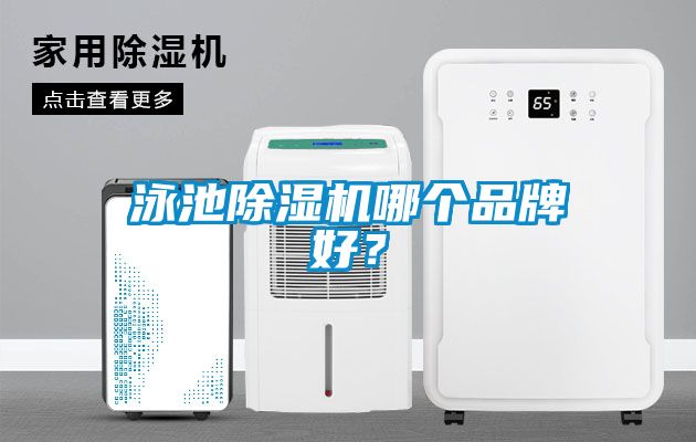 泳池除濕機哪個品牌好？