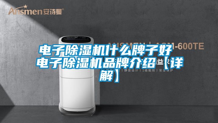 電子除濕機(jī)什么牌子好 電子除濕機(jī)品牌介紹【詳解】