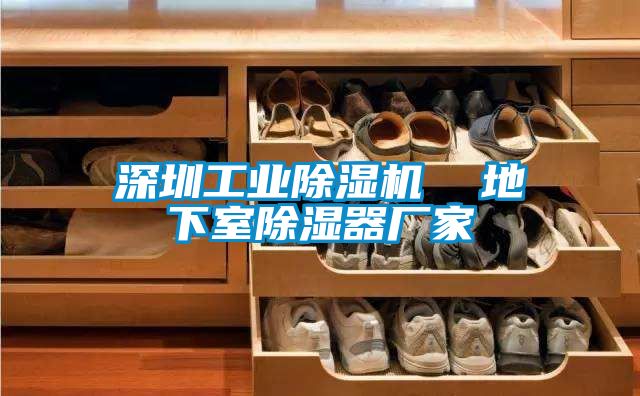 深圳工業(yè)除濕機(jī)  地下室除濕器廠家