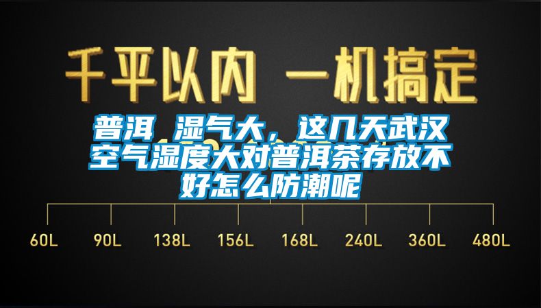 普洱 濕氣大，這幾天武漢空氣濕度大對普洱茶存放不好怎么防潮呢