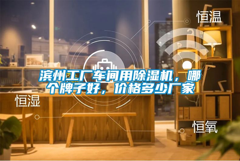 濱州工廠車間用除濕機，哪個牌子好，價格多少廠家