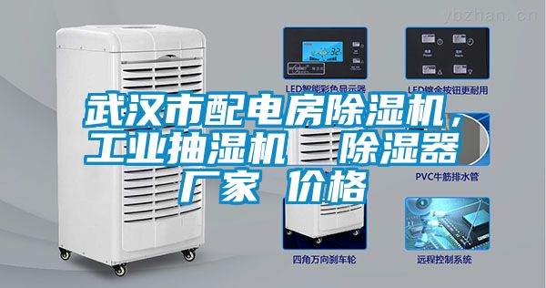 武漢市配電房除濕機(jī)，工業(yè)抽濕機(jī)  除濕器廠家 價格