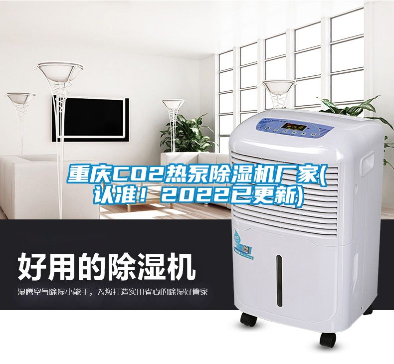 重慶CO2熱泵除濕機(jī)廠家(認(rèn)準(zhǔn)！2022已更新)