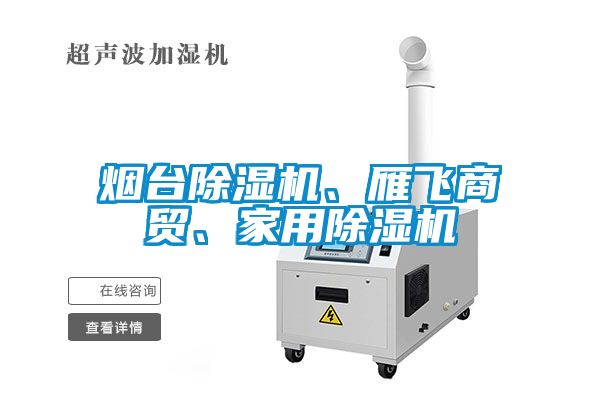 煙臺除濕機、雁飛商貿(mào)、家用除濕機