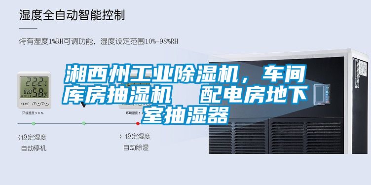 湘西州工業(yè)除濕機，車間庫房抽濕機  配電房地下室抽濕器