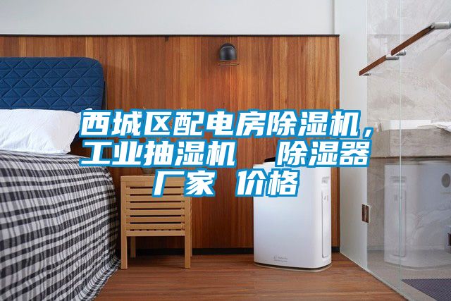 西城區(qū)配電房除濕機，工業(yè)抽濕機  除濕器廠家 價格