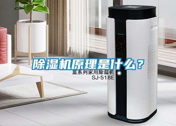 除濕機(jī)原理是什么？