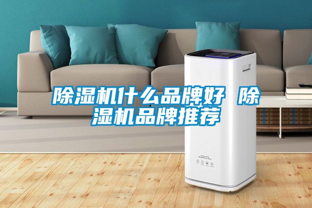 除濕機什么品牌好 除濕機品牌推薦