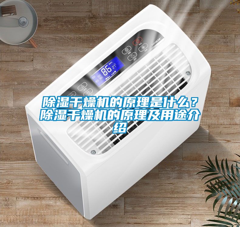 除濕干燥機的原理是什么？除濕干燥機的原理及用途介紹