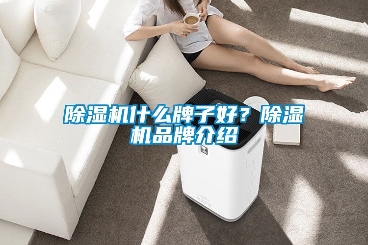 除濕機什么牌子好？除濕機品牌介紹