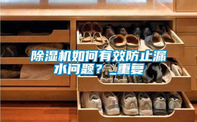 除濕機如何有效防止漏水問題？_重復