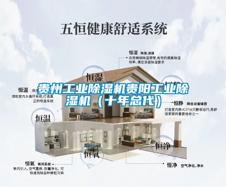 貴州工業(yè)除濕機(jī)貴陽(yáng)工業(yè)除濕機(jī)（十年總代）