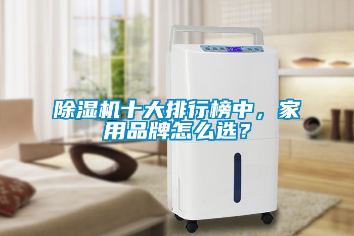 除濕機(jī)十大排行榜中，家用品牌怎么選？