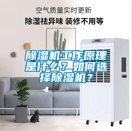 除濕機工作原理是什么？如何選擇除濕機？