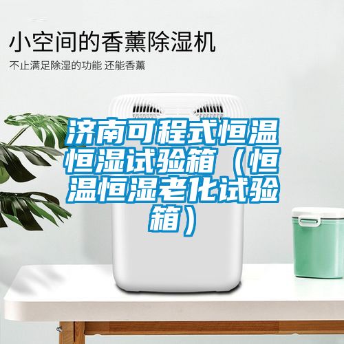 濟南可程式恒溫恒濕試驗箱（恒溫恒濕老化試驗箱）