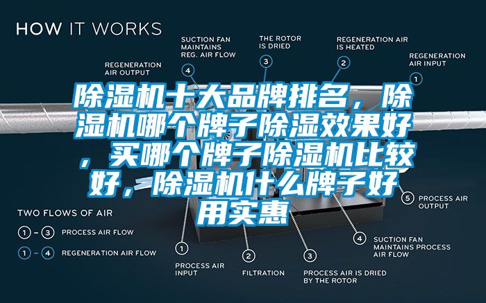 除濕機(jī)十大品牌排名，除濕機(jī)哪個(gè)牌子除濕效果好，買哪個(gè)牌子除濕機(jī)比較好，除濕機(jī)什么牌子好用實(shí)惠