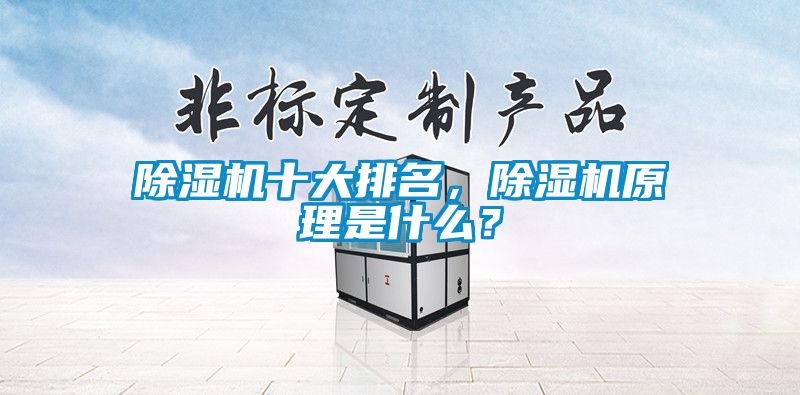 除濕機(jī)十大排名，除濕機(jī)原理是什么？