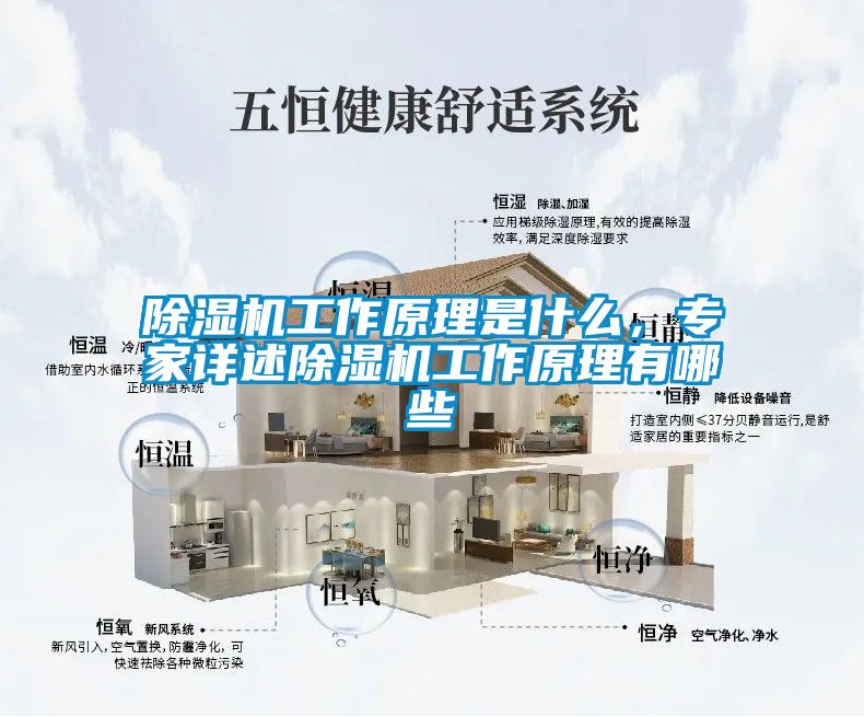 除濕機工作原理是什么，專家詳述除濕機工作原理有哪些