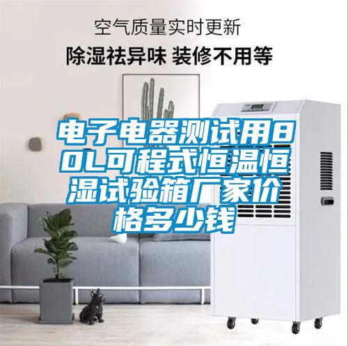 電子電器測試用80L可程式恒溫恒濕試驗(yàn)箱廠家價(jià)格多少錢