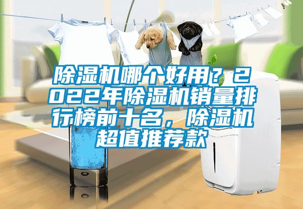 除濕機哪個好用？2022年除濕機銷量排行榜前十名，除濕機超值推薦款