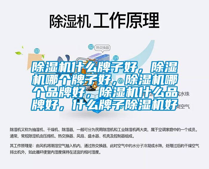 除濕機什么牌子好，除濕機哪個牌子好，除濕機哪個品牌好，除濕機什么品牌好，什么牌子除濕機好