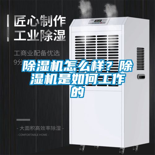 除濕機(jī)怎么樣？除濕機(jī)是如何工作的