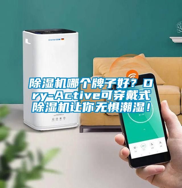 除濕機哪個牌子好？Dry-Active可穿戴式除濕機讓你無懼潮濕！