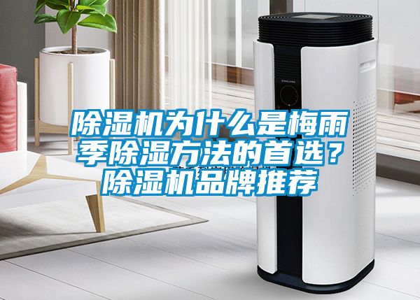 除濕機(jī)為什么是梅雨季除濕方法的首選？除濕機(jī)品牌推薦