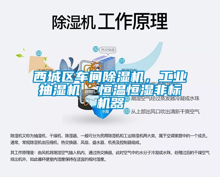 西城區(qū)車(chē)間除濕機(jī)，工業(yè)抽濕機(jī)  恒溫恒濕非標(biāo)機(jī)器