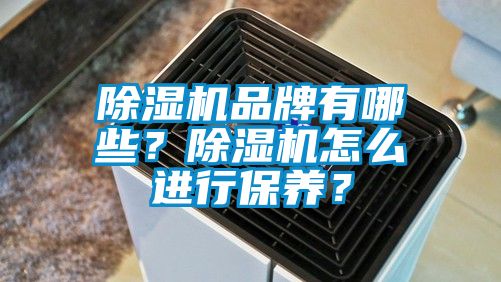 除濕機品牌有哪些？除濕機怎么進(jìn)行保養(yǎng)？