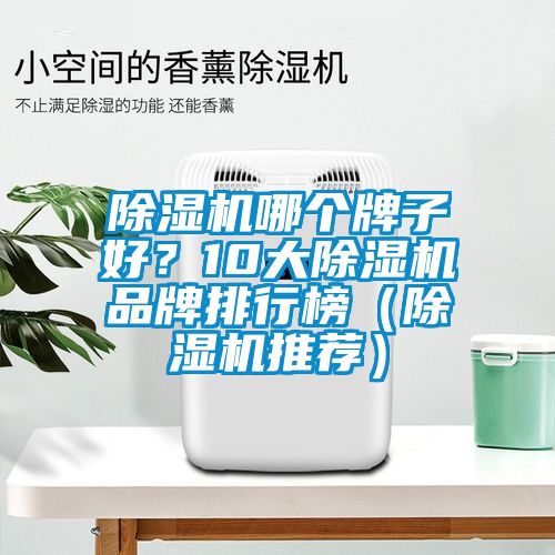 除濕機(jī)哪個(gè)牌子好？10大除濕機(jī)品牌排行榜（除濕機(jī)推薦）