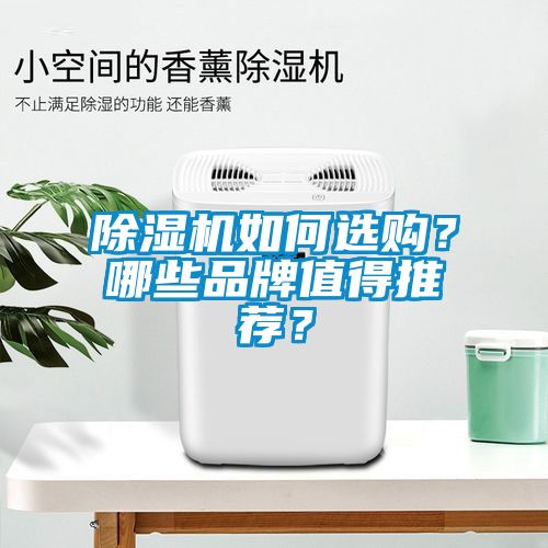 除濕機(jī)如何選購(gòu)？哪些品牌值得推薦？