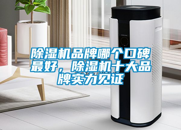 除濕機品牌哪個口碑最好，除濕機十大品牌實力見證