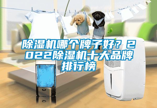 除濕機(jī)哪個(gè)牌子好？2022除濕機(jī)十大品牌排行榜