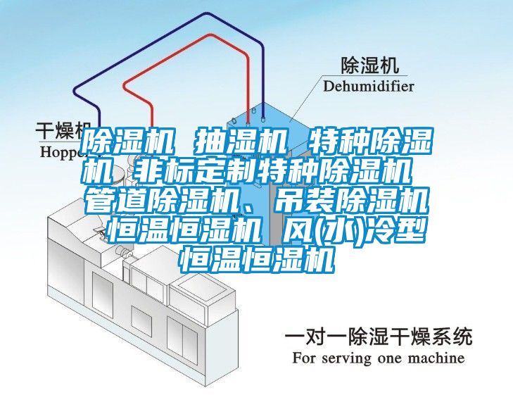 除濕機 抽濕機 特種除濕機 非標定制特種除濕機 管道除濕機、吊裝除濕機 恒溫恒濕機 風(水)冷型恒溫恒濕機